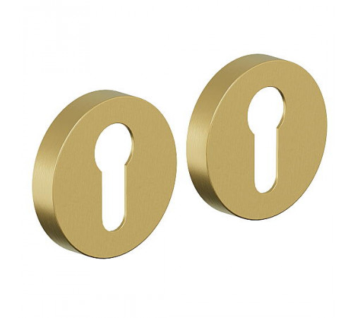 Накладка AR-7CL SGold